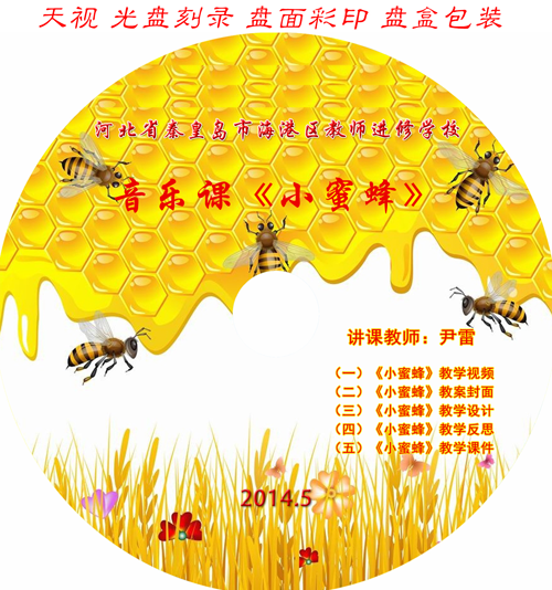 河北省秦皇島市海港區教師進修學校音樂課《小蜜蜂》